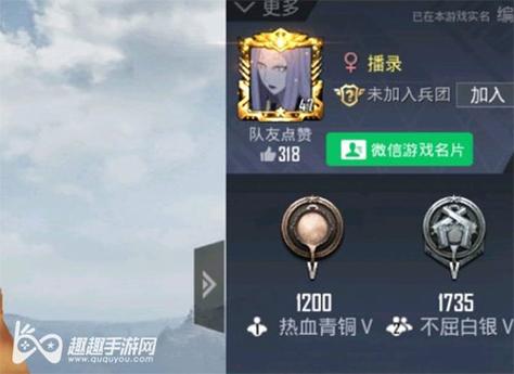 和平【涂山红红】辅助轻便直装工具，重现丝滑畅快体验